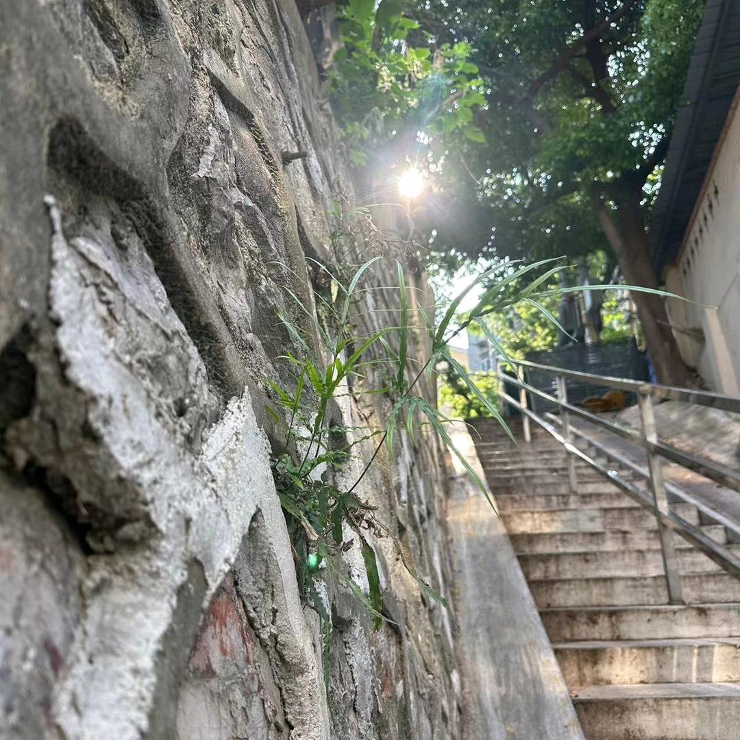 玥表咨询工作室