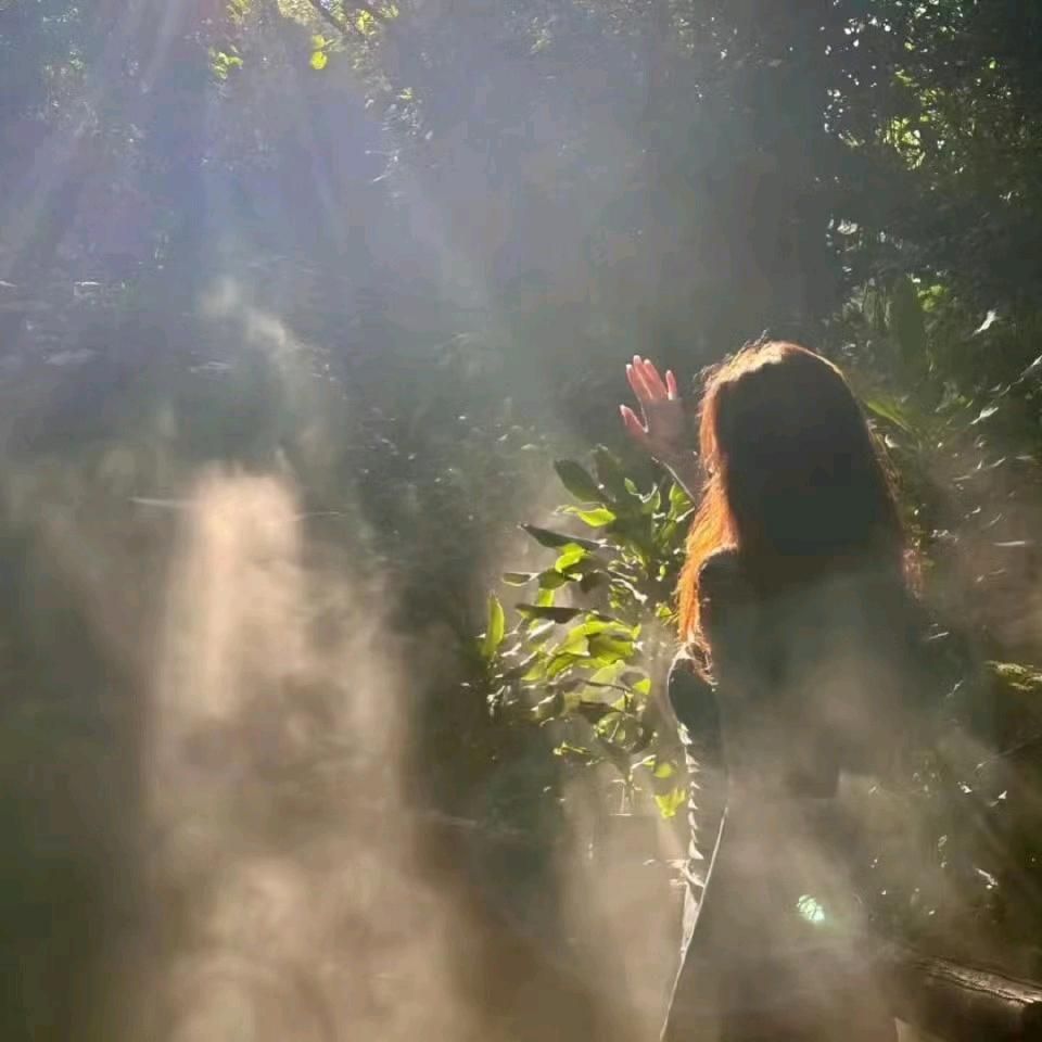 藏于心🌟
