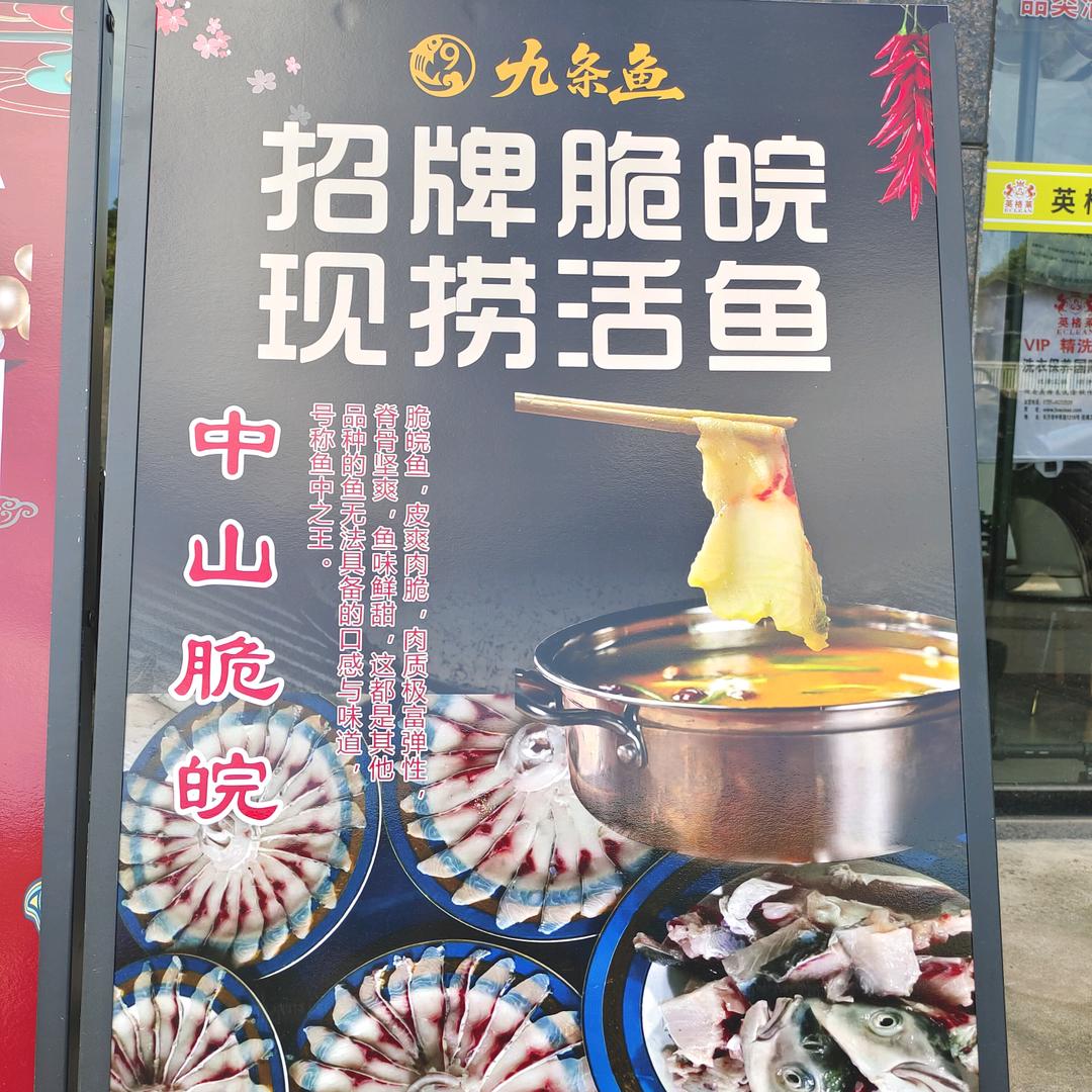 @九条鱼陈东升