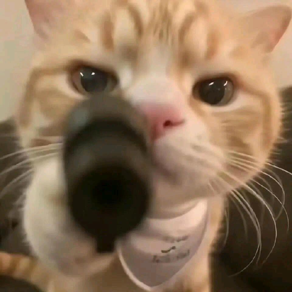 不略/
