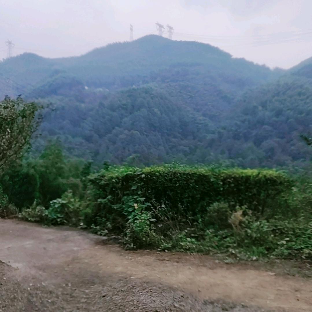 你喜欢就好。