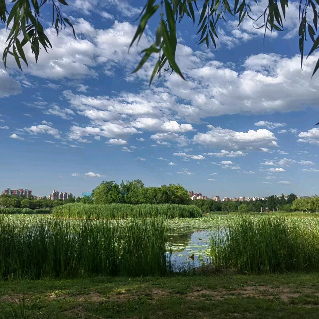 唐山市缸窑热电有限公司