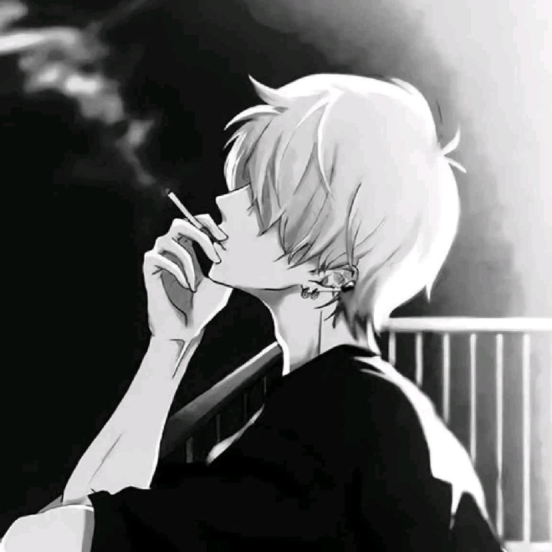 果冻橙i