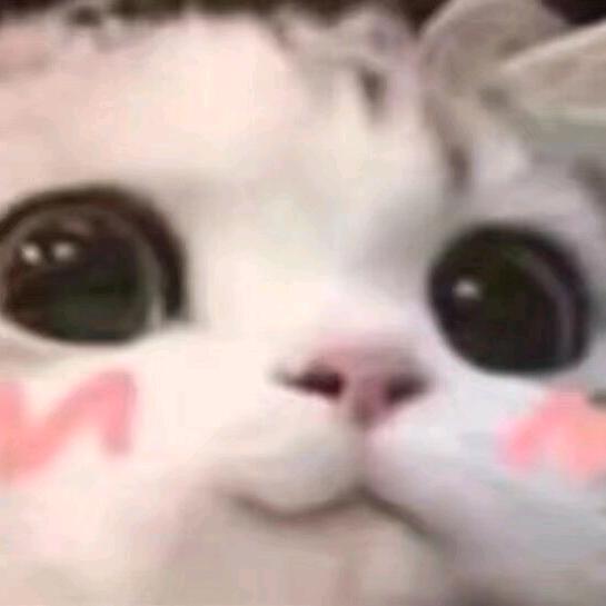 等你