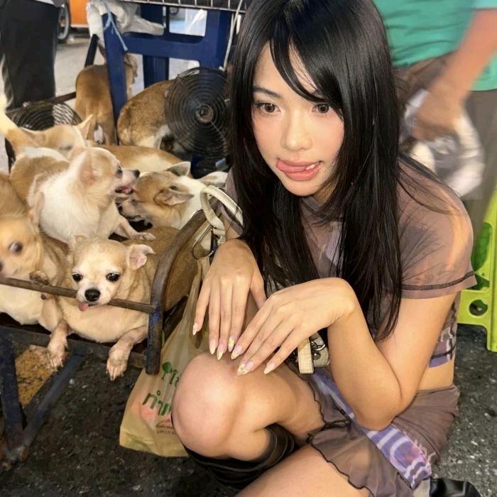 麻番薯了