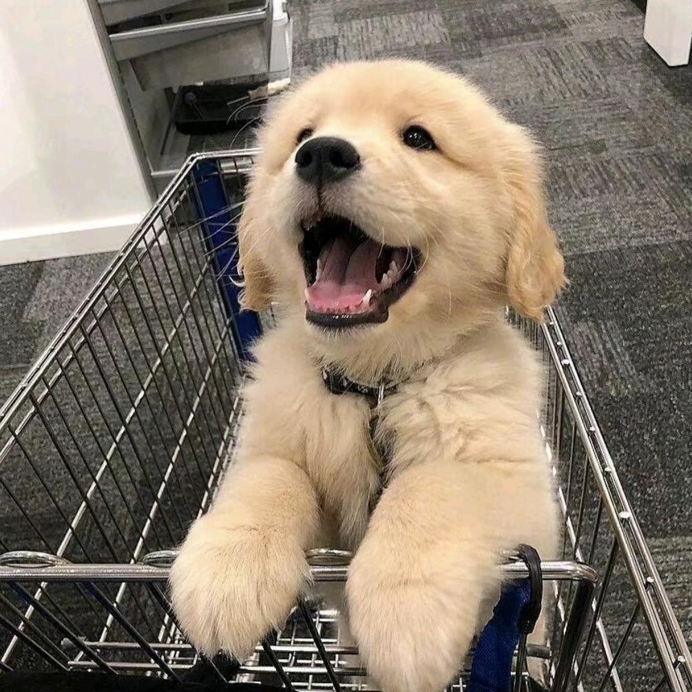 来十杯生椰拿铁