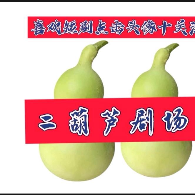 二葫芦短剧推荐