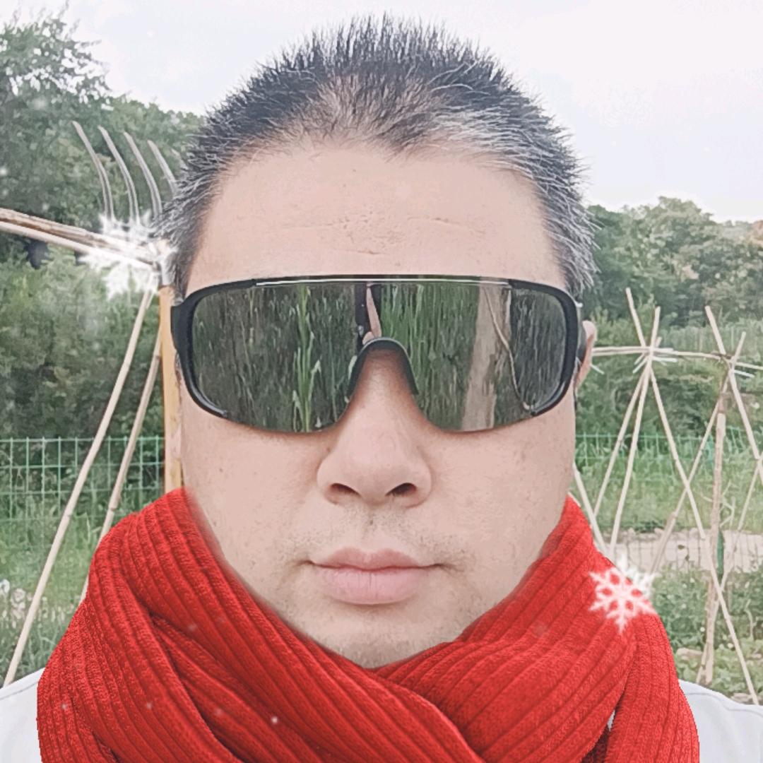 四季童话小镇 金龙