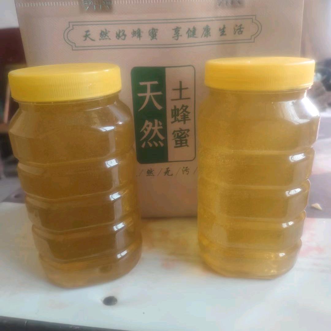 兔子