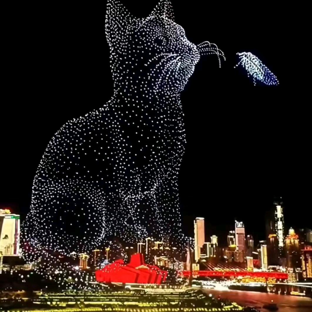 🍀锦鲤护体🍀