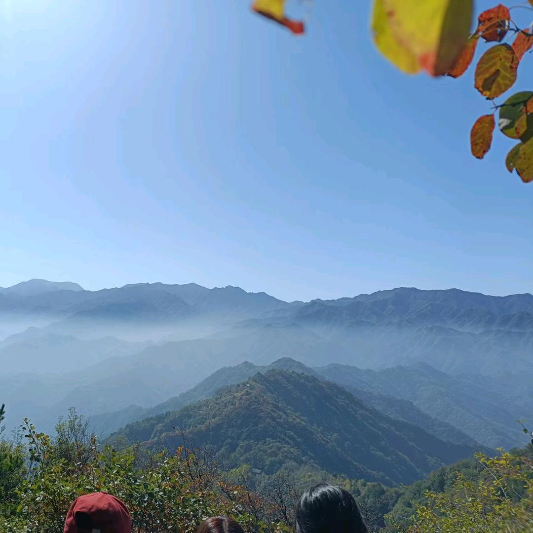 心宝❤️