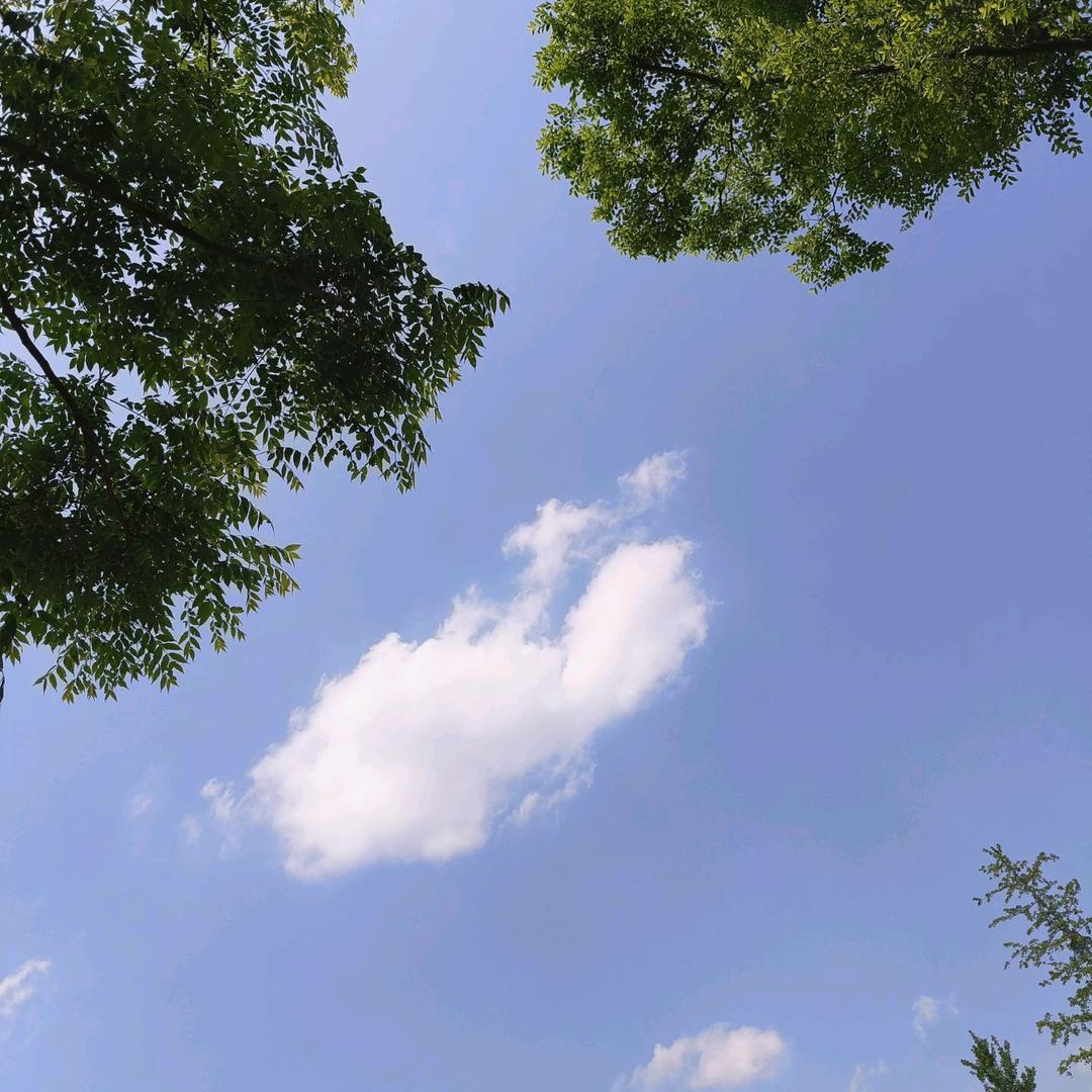 艳💕宝