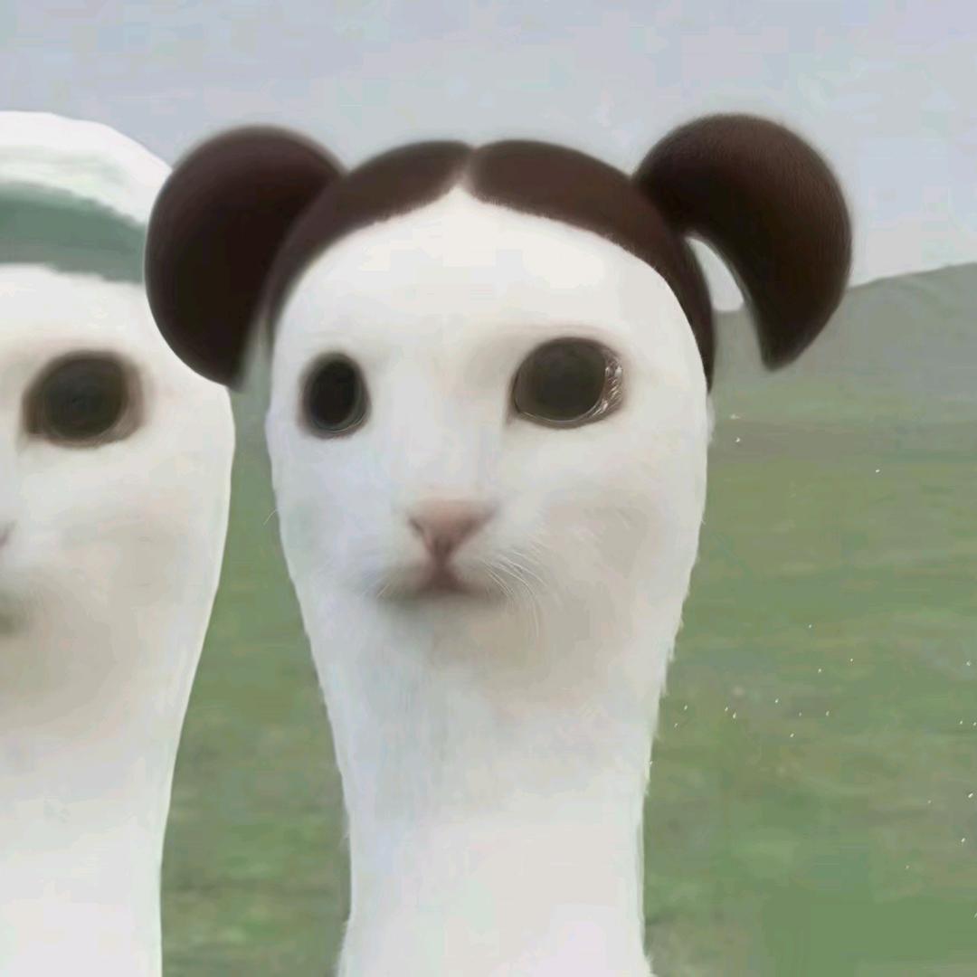 安安