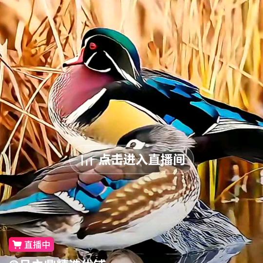 青堆子钓鱼，娱乐协会，钓鱼会友