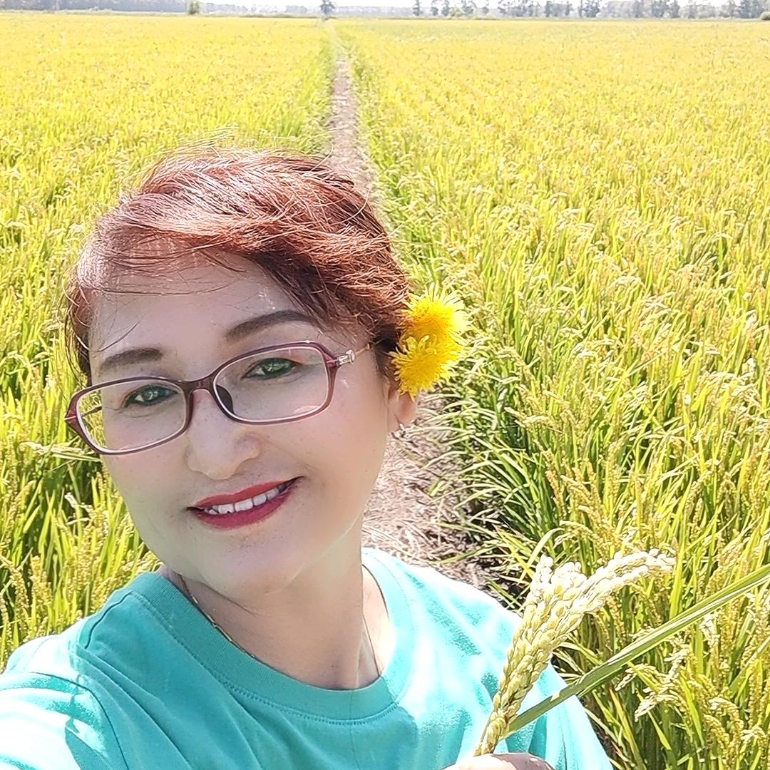 云燕农资商贸店