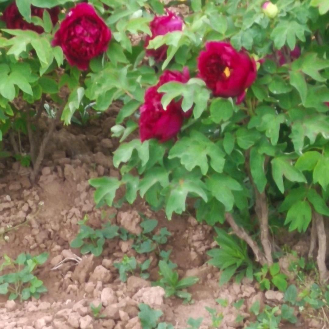 苗家麻辣小海鲜