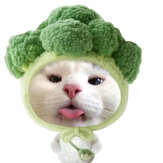 𝗬𝗶𝗶𝘂 𝟳𝗶.