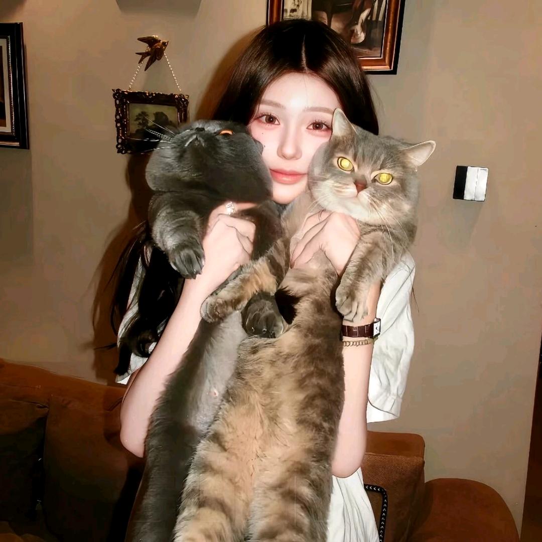 汉堡蛋挞一口喵