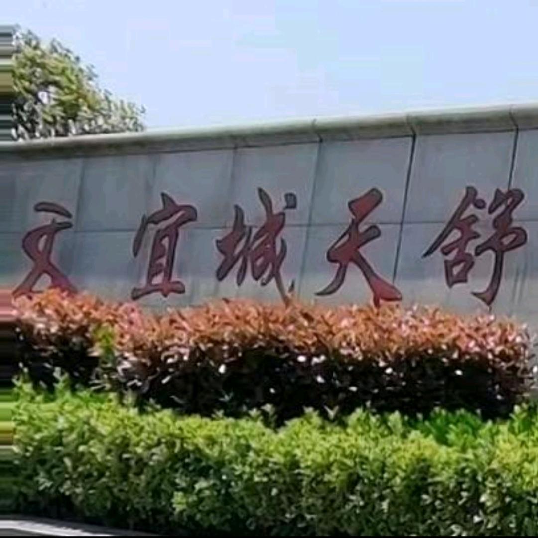 天舒服装穿搭