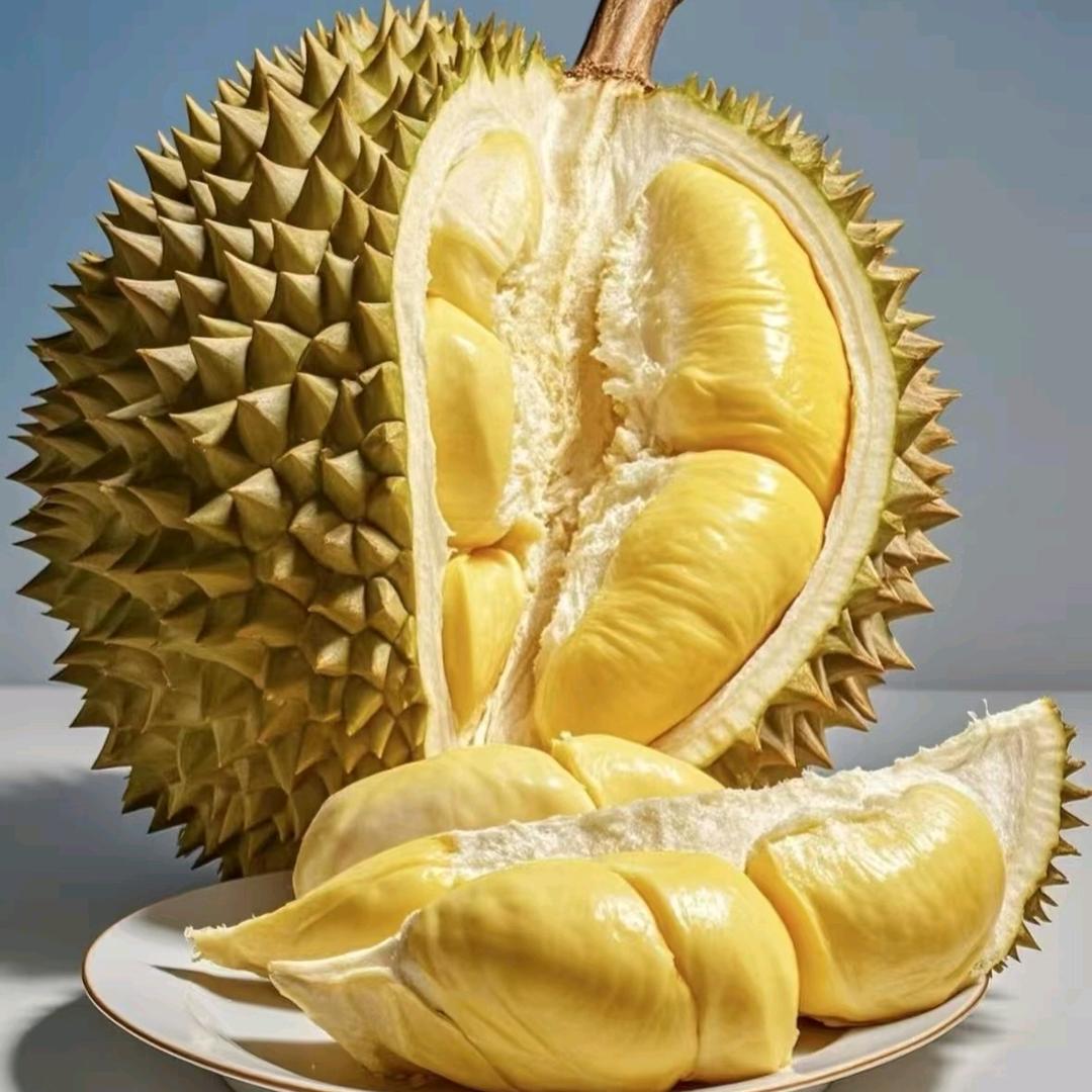 诗韵吖原头供应链