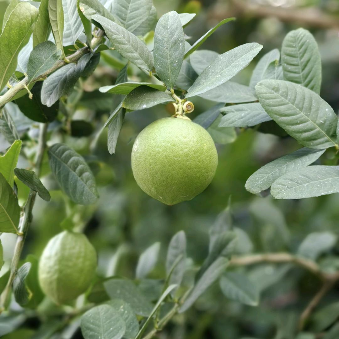 学海行者（纯公益方法分享，不卖书）