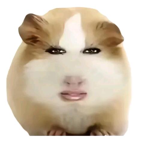 A我先睡了