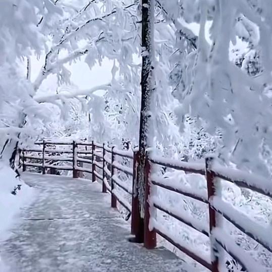 努力奋斗