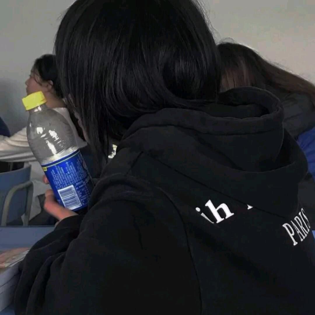 猫在在