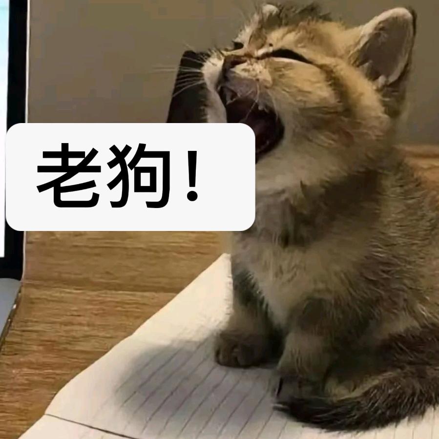 落雨天
