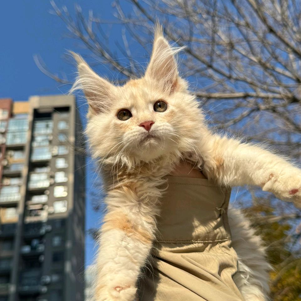 叁号宠业宠物严选