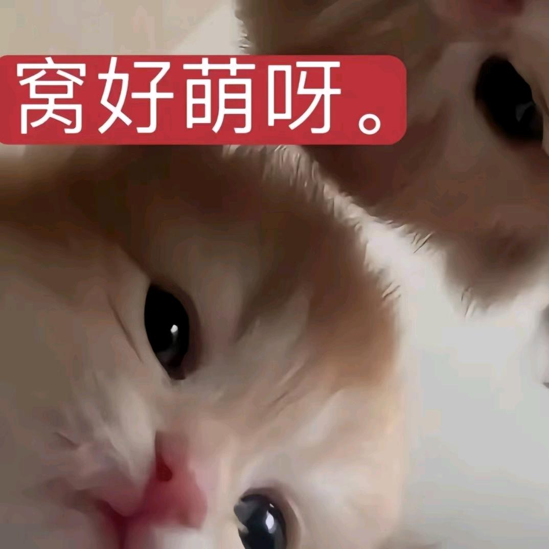 软嫩弹牙有嚼劲的鸡屎