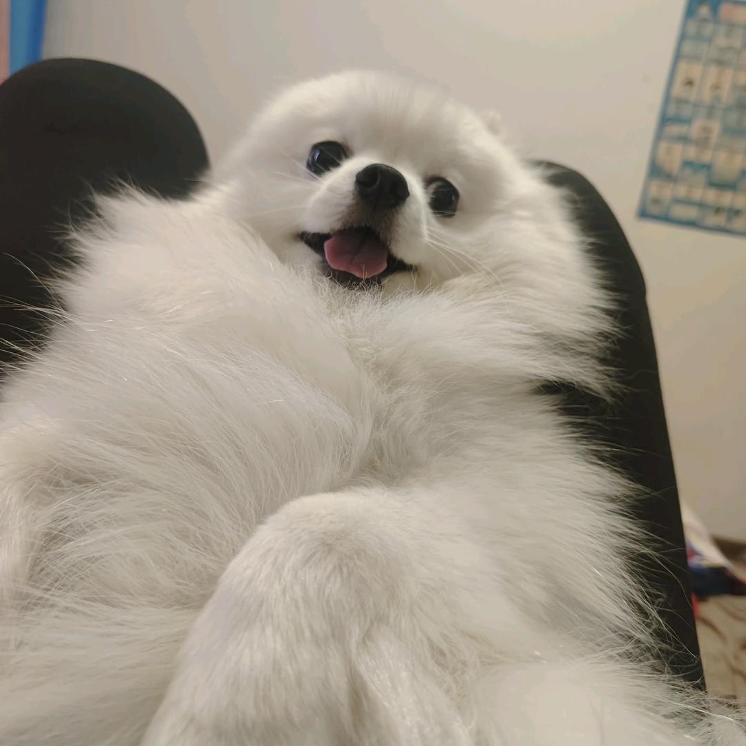 旭哥