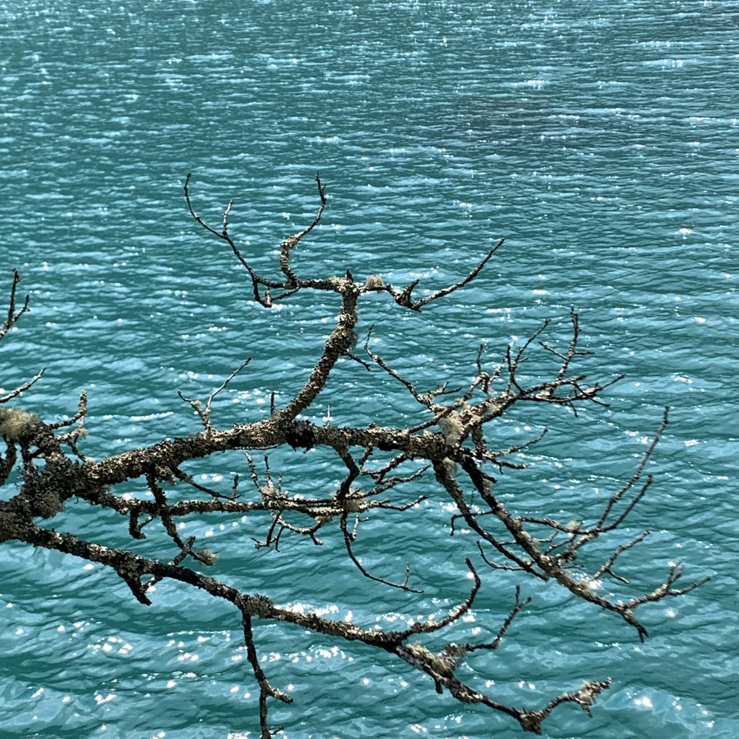 王者荣耀第一最菜上单