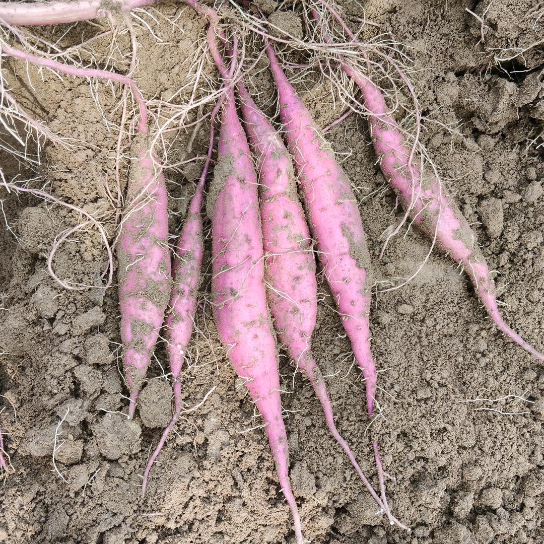 慧谷新乐基地—相凯勋