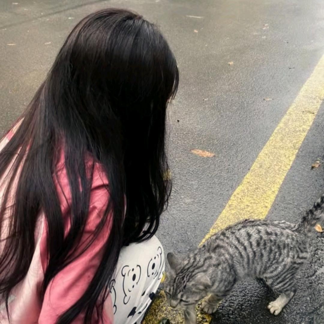 林夏⁴⁷ °✨