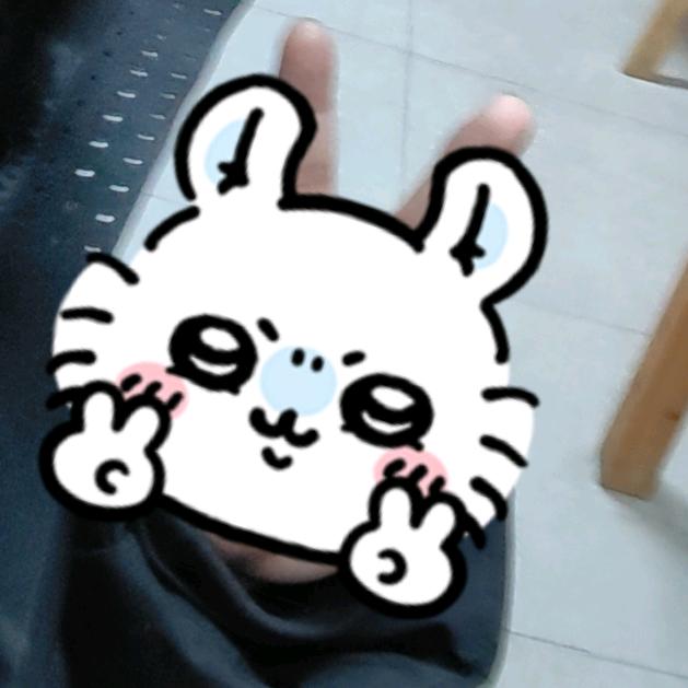 懵比的广东大蟑螂