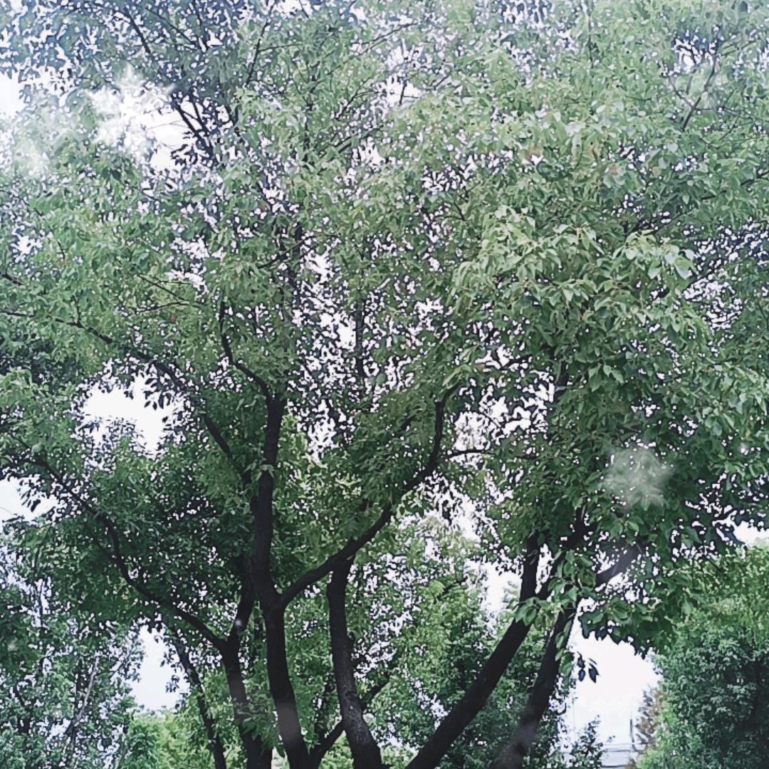 用户922797292872