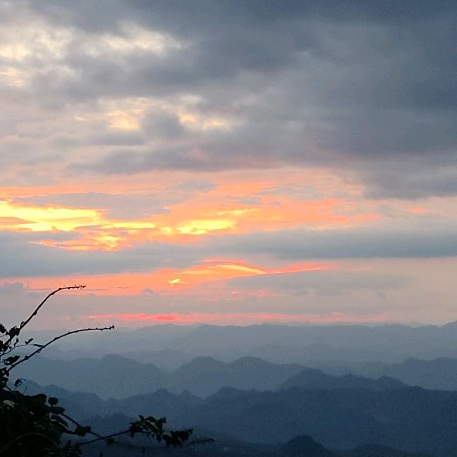泪雨思琪