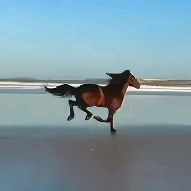 浪子