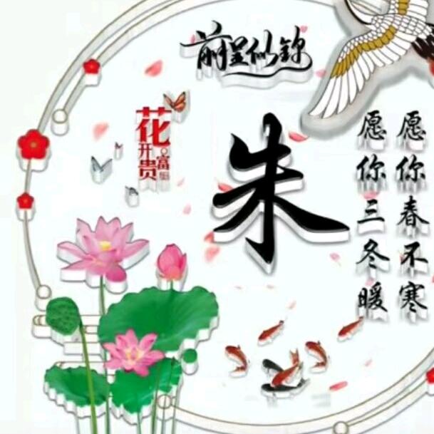 朱大哥