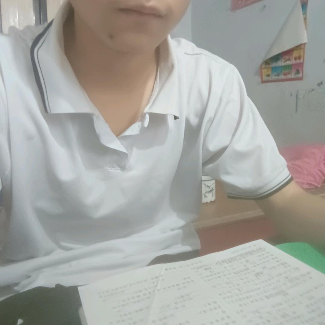 老金金