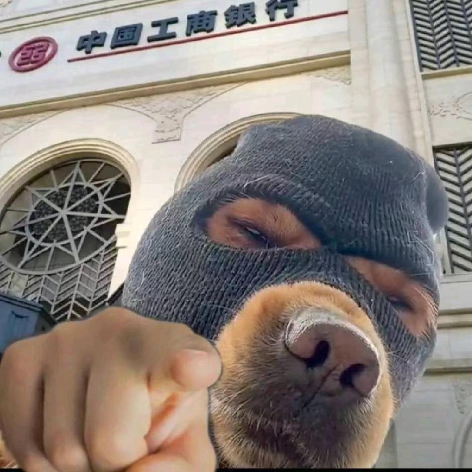盗圣🐶狗子（电竞选手版）