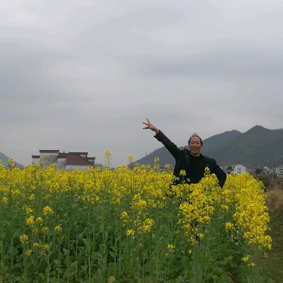 山里的风——山风
