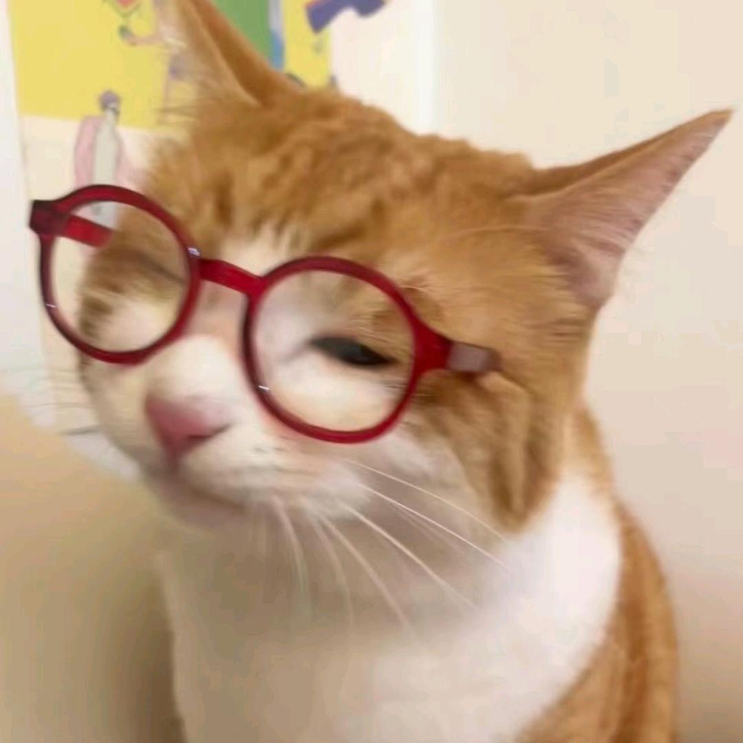 我是小七