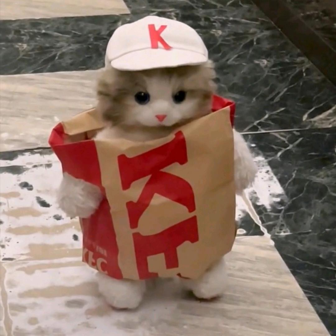 心语漫游