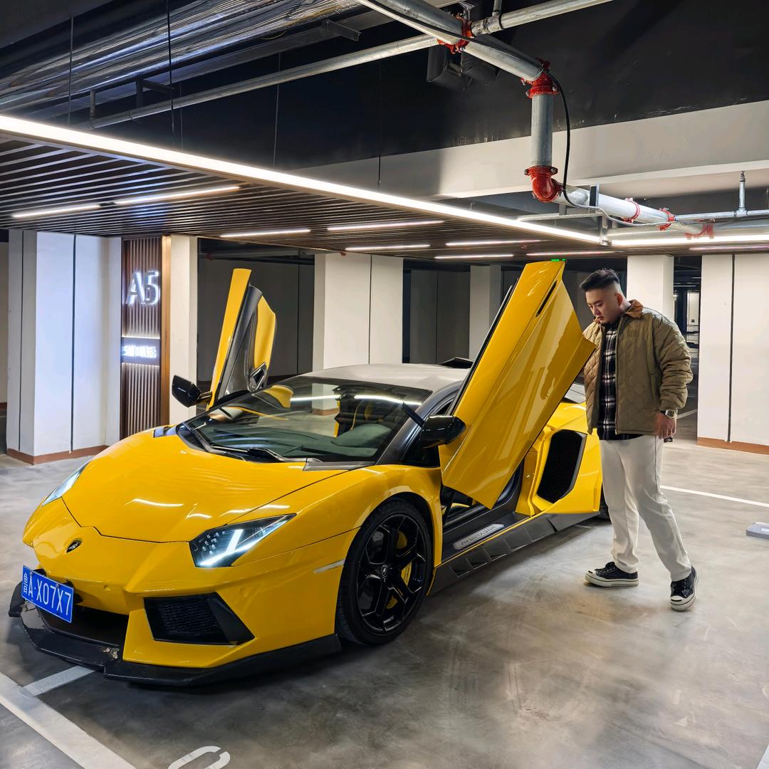 随鑫所欲