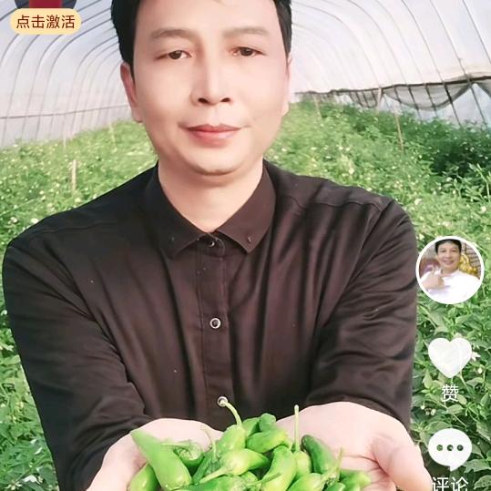 李青石＜余干枫树辣椒>