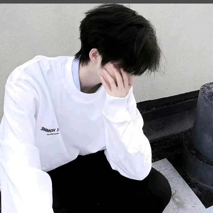 杨嘉星头像