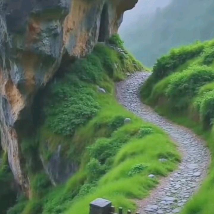 顺其自然🎤