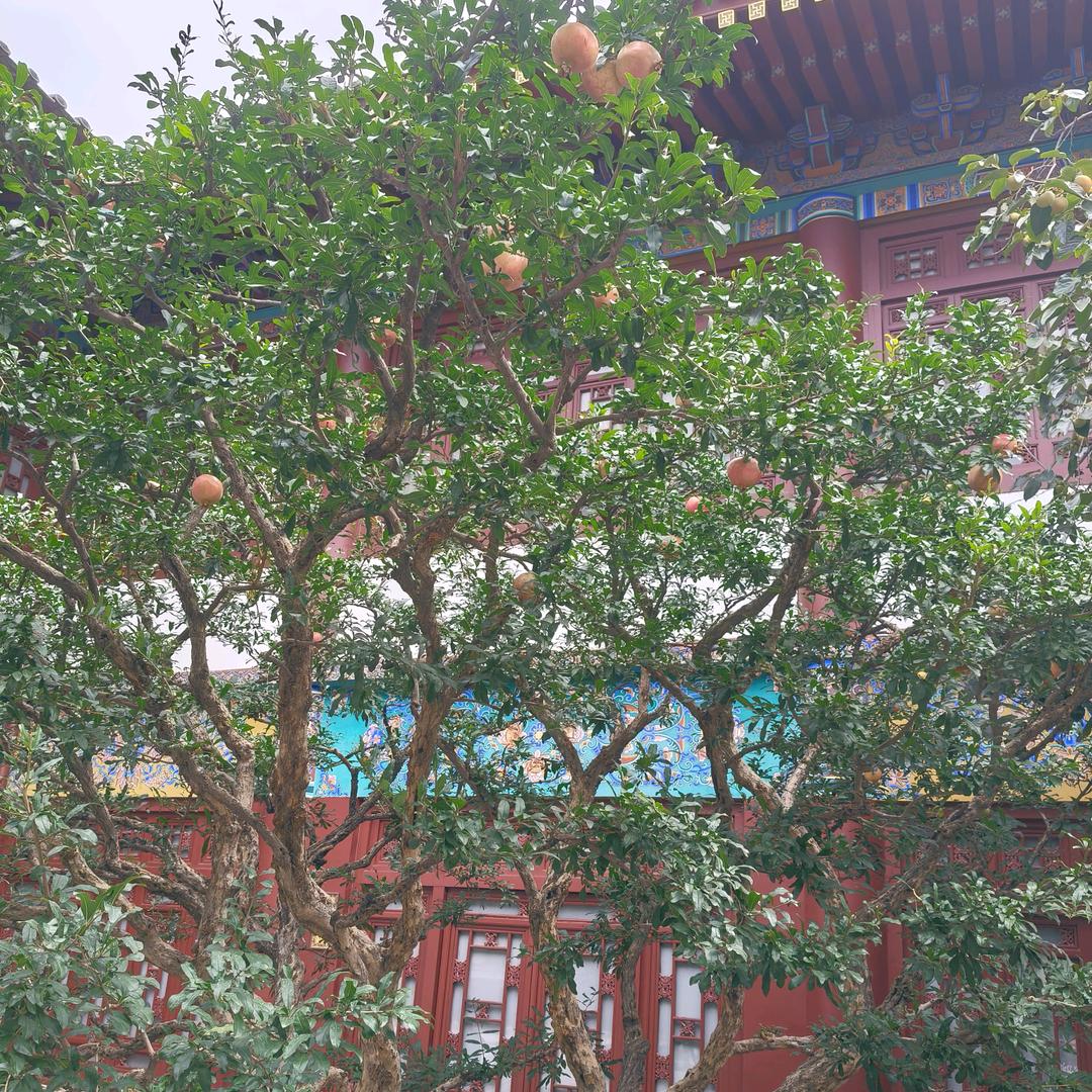 🐰🐰默念🐰🐰🐰🐰